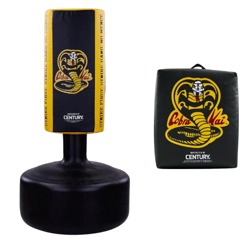 Cobra Kai Training Combo
