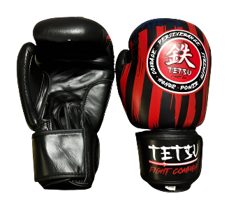 Patriotic Leather Gloves